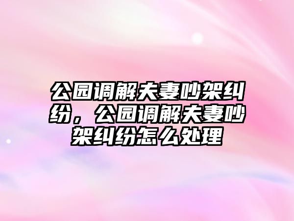 公園調解夫妻吵架糾紛，公園調解夫妻吵架糾紛怎么處理