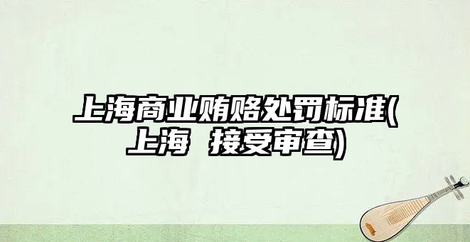 上海商業賄賂處罰標準(上海 接受審查)