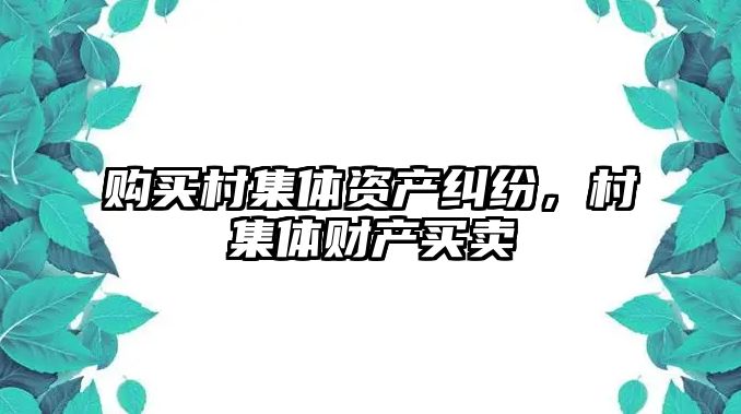 購買村集體資產糾紛，村集體財產買賣