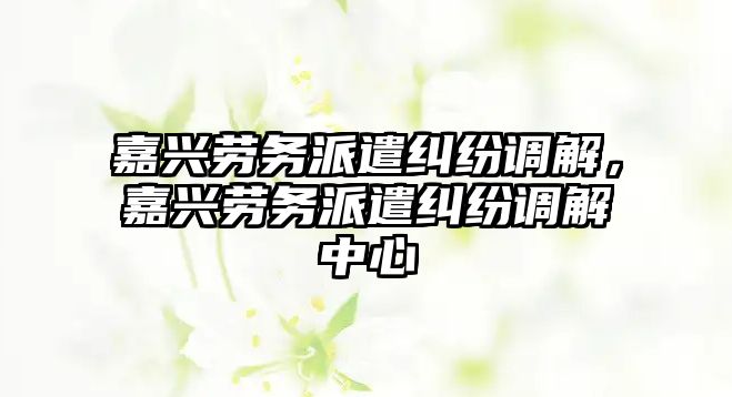 嘉興勞務派遣糾紛調解，嘉興勞務派遣糾紛調解中心