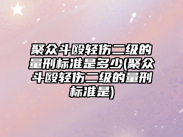 聚眾斗毆輕傷二級的量刑標準是多少(聚眾斗毆輕傷二級的量刑標準是)