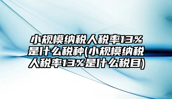 小規模納稅人稅率13%是什么稅種(小規模納稅人稅率13%是什么稅目)