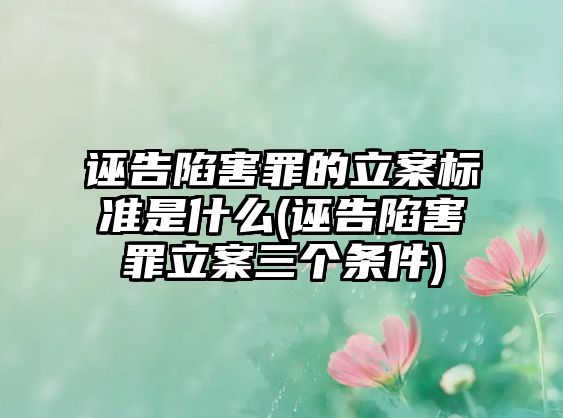 誣告陷害罪的立案標準是什么(誣告陷害罪立案三個條件)