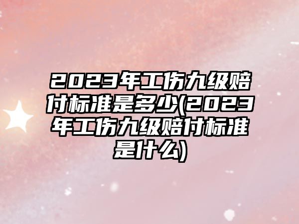 2023年工傷九級賠付標準是多少(2023年工傷九級賠付標準是什么)