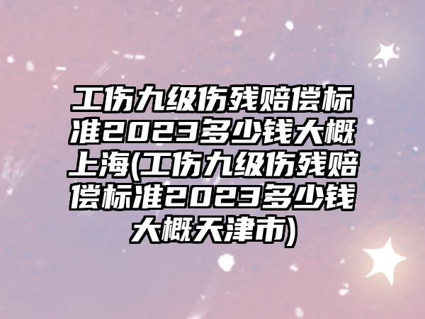 工傷九級傷殘賠償標準2023多少錢大概上海(工傷九級傷殘賠償標準2023多少錢大概天津市)