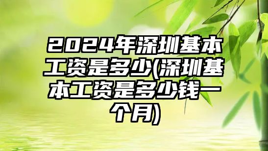 2024年深圳基本工資是多少(深圳基本工資是多少錢一個月)