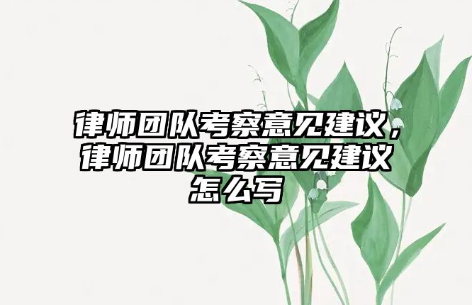 律師團隊考察意見建議，律師團隊考察意見建議怎么寫