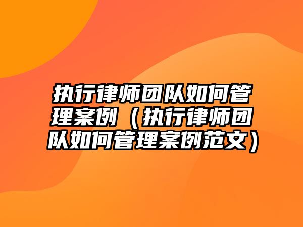 執行律師團隊如何管理案例（執行律師團隊如何管理案例范文）