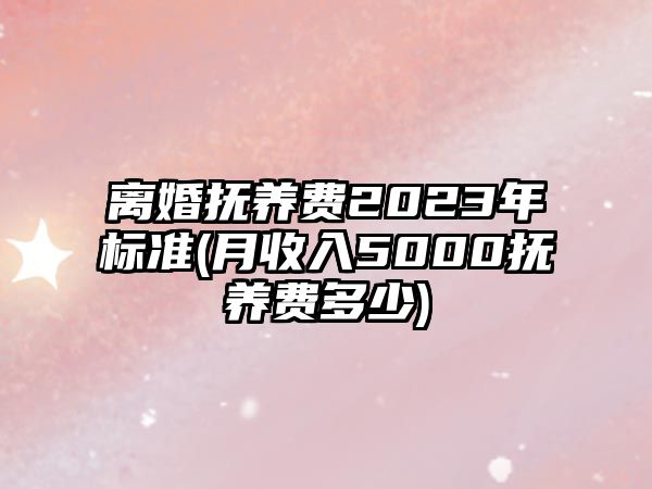 離婚撫養費2023年標準(月收入5000撫養費多少)