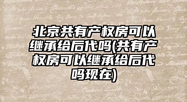 北京共有產權房可以繼承給后代嗎(共有產權房可以繼承給后代嗎現在)