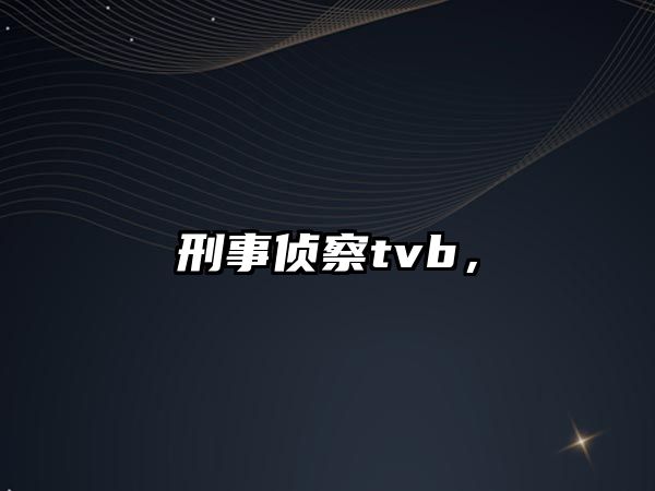 刑事偵察tvb，