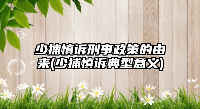 少捕慎訴刑事政策的由來(lái)(少捕慎訴典型意義)