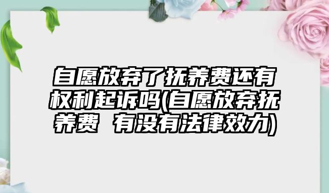 自愿放棄了撫養費還有權利起訴嗎(自愿放棄撫養費 有沒有法律效力)