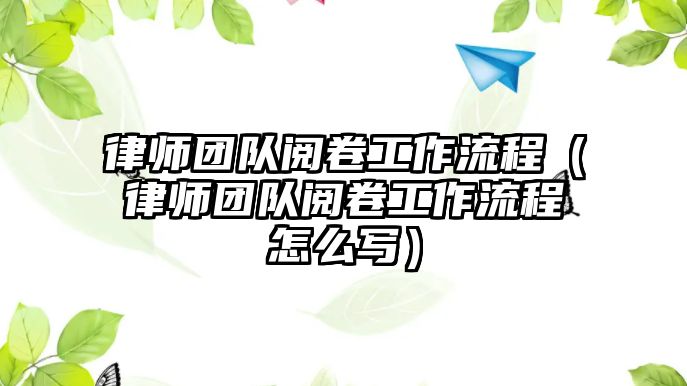 律師團(tuán)隊閱卷工作流程（律師團(tuán)隊閱卷工作流程怎么寫）