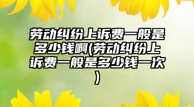 勞動糾紛上訴費(fèi)一般是多少錢啊(勞動糾紛上訴費(fèi)一般是多少錢一次)