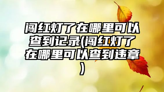 闖紅燈了在哪里可以查到記錄(闖紅燈了在哪里可以查到違章)