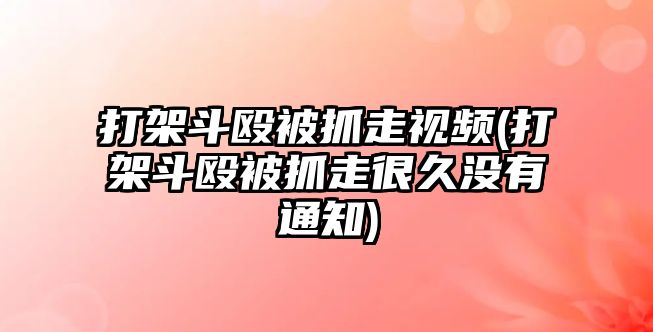 打架斗毆被抓走視頻(打架斗毆被抓走很久沒有通知)