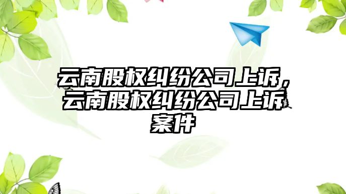 云南股權(quán)糾紛公司上訴，云南股權(quán)糾紛公司上訴案件