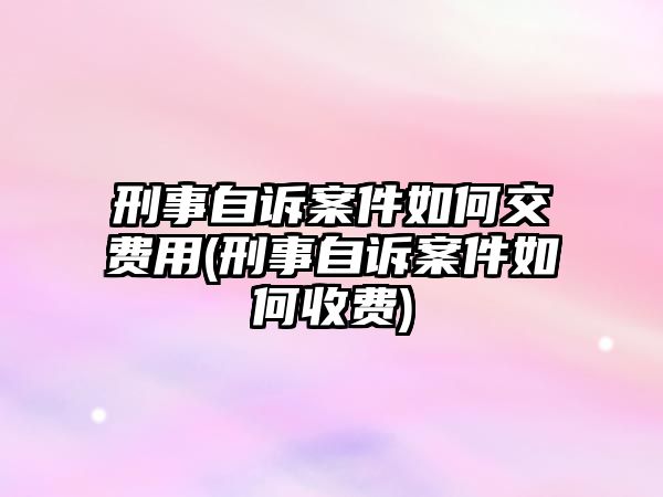 刑事自訴案件如何交費用(刑事自訴案件如何收費)