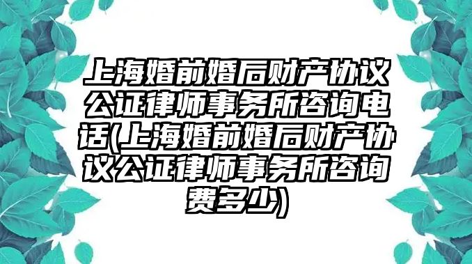 上海婚前婚后財(cái)產(chǎn)協(xié)議公證律師事務(wù)所咨詢電話(上海婚前婚后財(cái)產(chǎn)協(xié)議公證律師事務(wù)所咨詢費(fèi)多少)