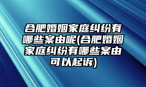 合肥婚姻家庭糾紛有哪些案由呢(合肥婚姻家庭糾紛有哪些案由可以起訴)