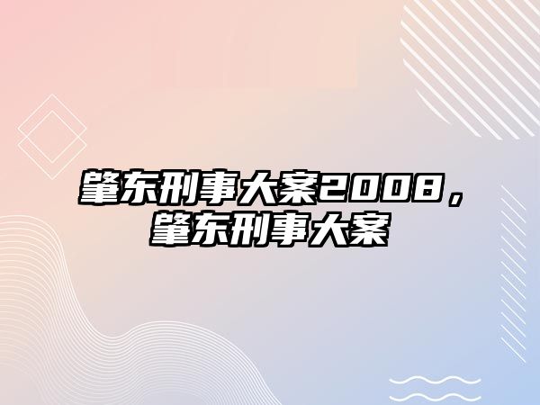 肇東刑事大案2008，肇東刑事大案