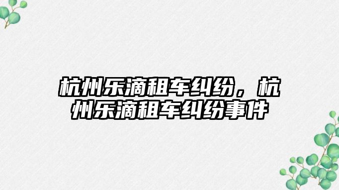 杭州樂滴租車糾紛，杭州樂滴租車糾紛事件