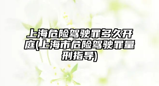 上海危險駕駛罪多久開庭(上海市危險駕駛罪量刑指導)