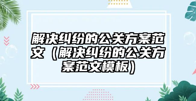 解決糾紛的公關方案范文（解決糾紛的公關方案范文模板）