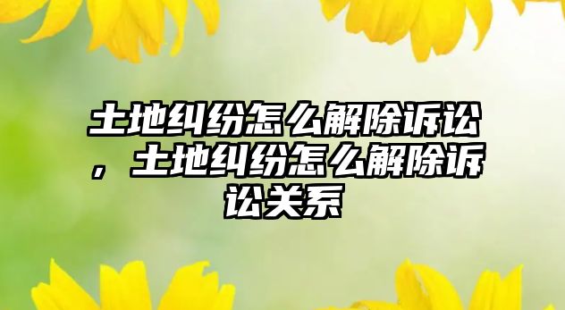 土地糾紛怎么解除訴訟，土地糾紛怎么解除訴訟關系