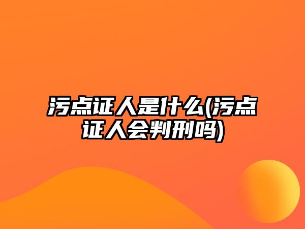 污點證人是什么(污點證人會判刑嗎)