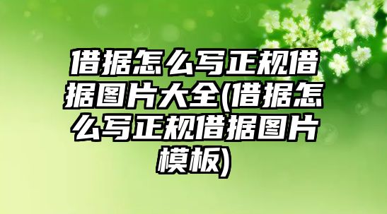 借據怎么寫正規借據圖片大全(借據怎么寫正規借據圖片模板)