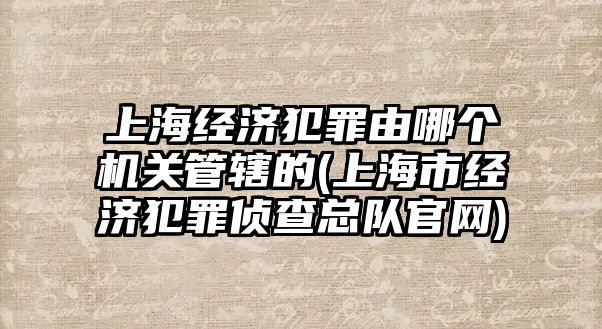 上海經濟犯罪由哪個機關管轄的(上海市經濟犯罪偵查總隊官網)