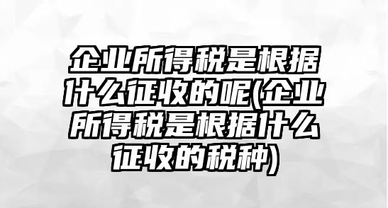 企業(yè)所得稅是根據(jù)什么征收的呢(企業(yè)所得稅是根據(jù)什么征收的稅種)