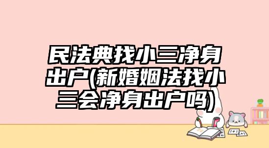 民法典找小三凈身出戶(新婚姻法找小三會凈身出戶嗎)