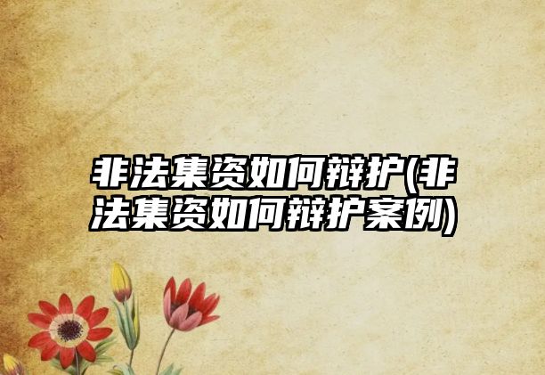 非法集資如何辯護(hù)(非法集資如何辯護(hù)案例)