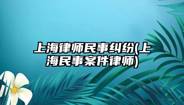 上海律師民事糾紛(上海民事案件律師)