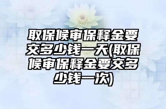 取保候審保釋金要交多少錢一天(取保候審保釋金要交多少錢一次)