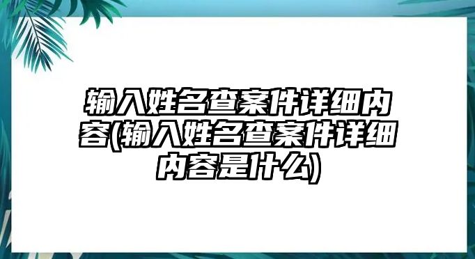 輸入姓名查案件詳細內容(輸入姓名查案件詳細內容是什么)