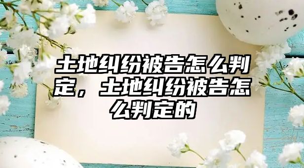 土地糾紛被告怎么判定，土地糾紛被告怎么判定的