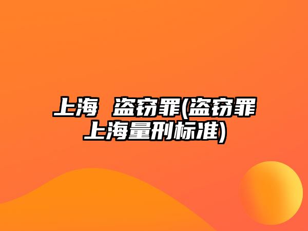 上海 盜竊罪(盜竊罪上海量刑標準)