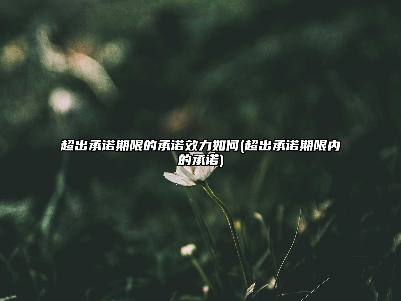 超出承諾期限的承諾效力如何(超出承諾期限內(nèi)的承諾)