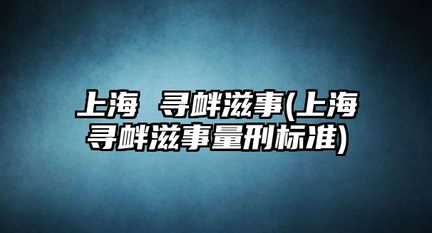 上海 尋釁滋事(上海尋釁滋事量刑標準)