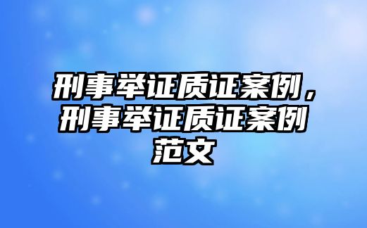 刑事舉證質證案例，刑事舉證質證案例范文