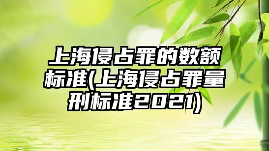 上海侵占罪的數額標準(上海侵占罪量刑標準2021)