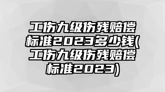 工傷九級傷殘賠償標準2023多少錢(工傷九級傷殘賠償標準2023)