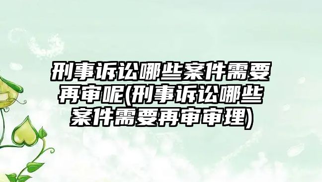 刑事訴訟哪些案件需要再審呢(刑事訴訟哪些案件需要再審審理)