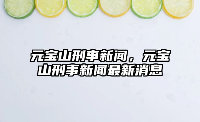 元寶山刑事新聞，元寶山刑事新聞最新消息