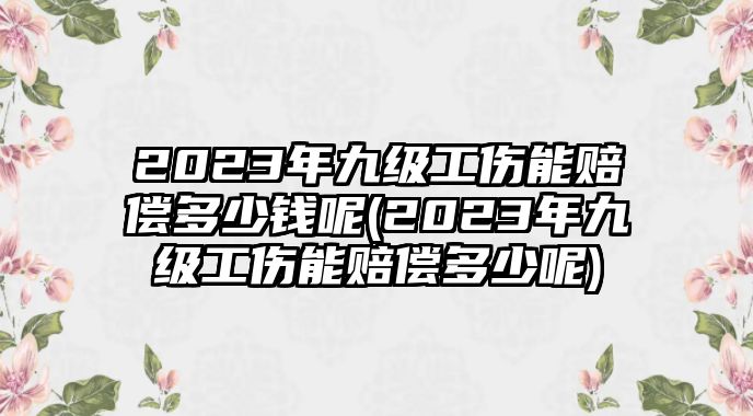 2023年九級工傷能賠償多少錢呢(2023年九級工傷能賠償多少呢)