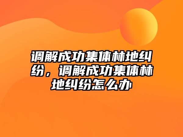 調解成功集體林地糾紛，調解成功集體林地糾紛怎么辦